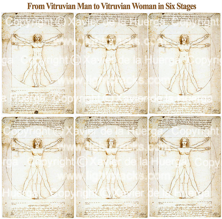 vitruvian woman